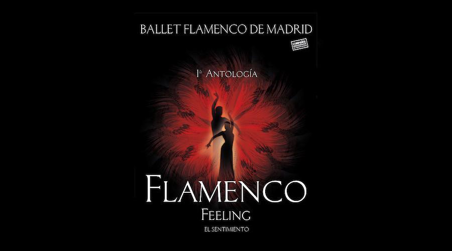 Ballet Flamenco de Madrid apresenta 'Flamenco Feeling'