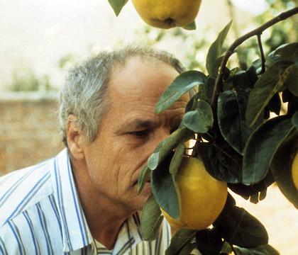 Homenagem a Víctor Erice no Porto