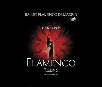 Ballet Flamenco de Madrid apresenta 'Flamenco Feeling'