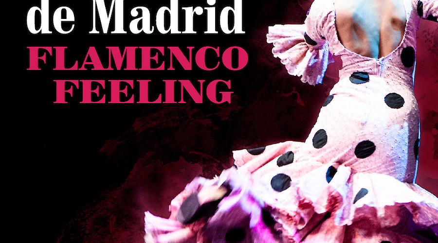 Flamenco Feeling em Braga
