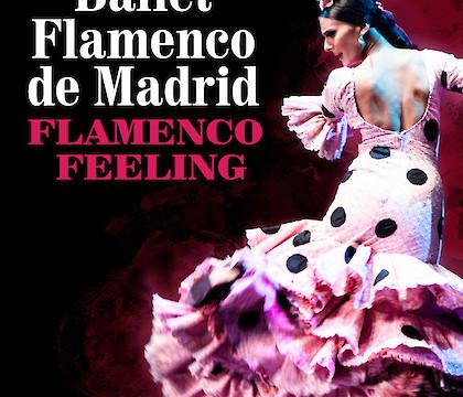 Flamenco Feeling em Braga