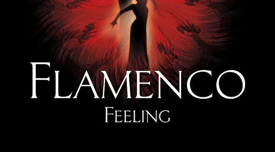 Flamenco Feeling em Ílhavo