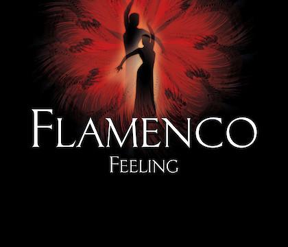 Flamenco Feeling em Ílhavo