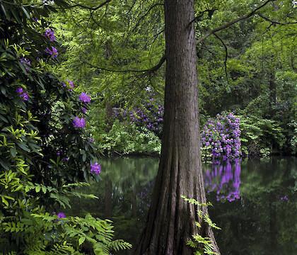 Tiergarten. A German Romantic Garden