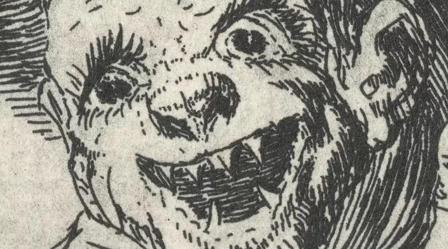 Goya fisonomista. A linguagem do rosto na obra gráfica de Goya